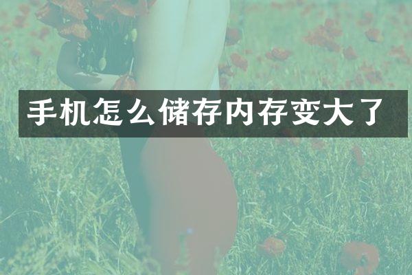手机怎么储存内存变大了