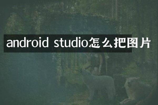 android studio怎么把图片
