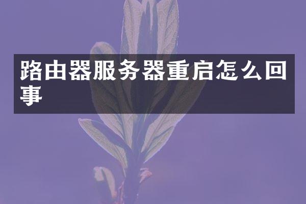 路由器服务器重启怎么回事