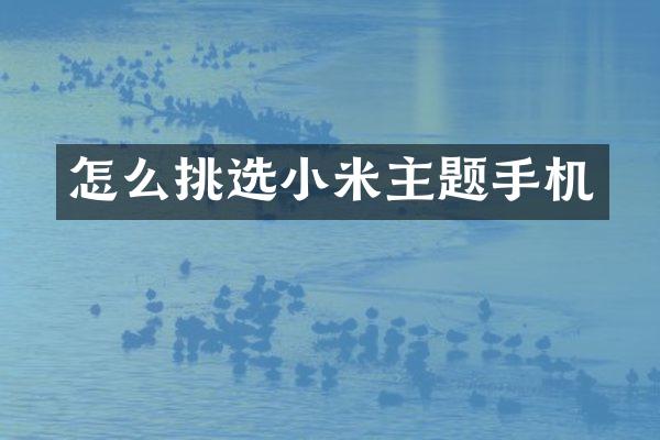 怎么挑选小米主题手机