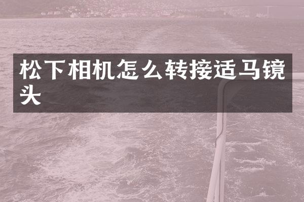 松下相机怎么转接适马镜头