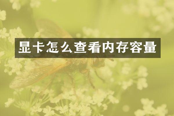 显卡怎么查看内存容量