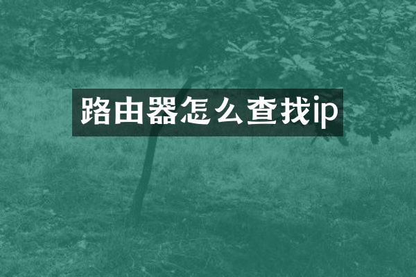 路由器怎么查找ip