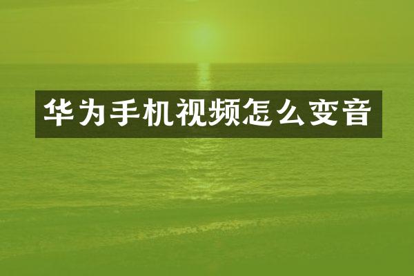 华为手机视频怎么变音