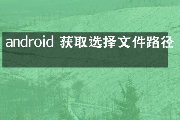 android 获取选择文件路径吗