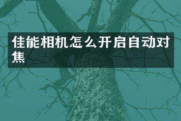 佳能相机怎么开启自动对焦