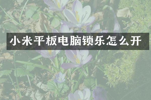 小米平板电脑锁乐怎么开