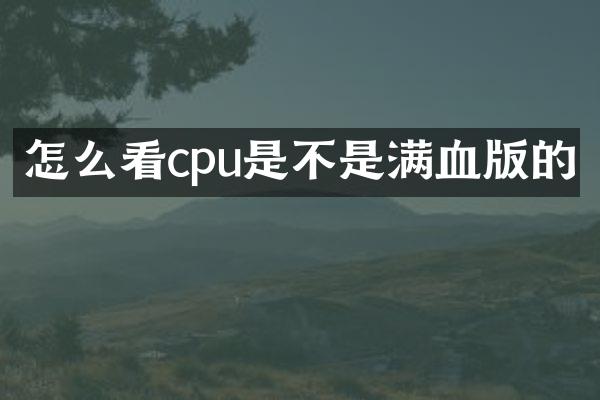 怎么看cpu是不是满血版的