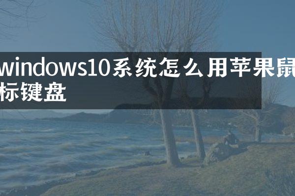 windows10系统怎么用苹果鼠标键盘