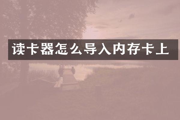 读卡器怎么导入内存卡上