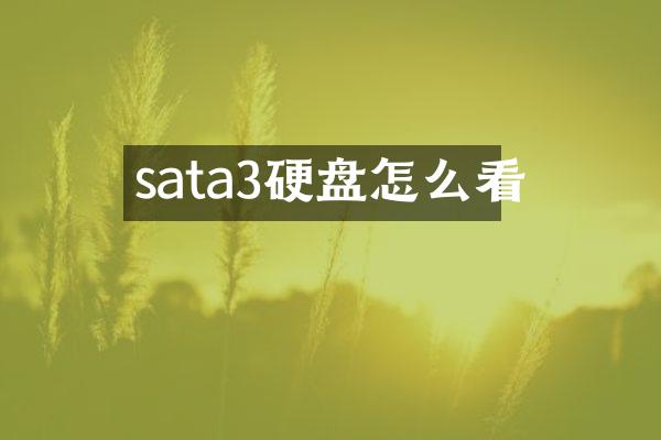 sata3硬盘怎么看