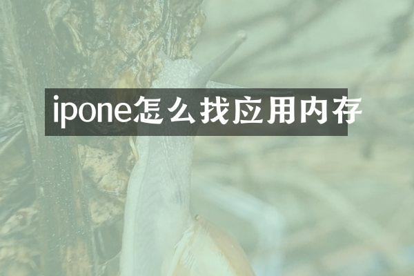 ipone怎么找应用内存