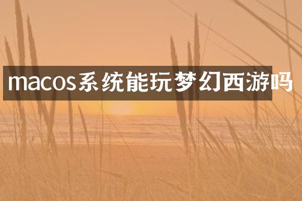 macos系统能玩梦幻西游吗