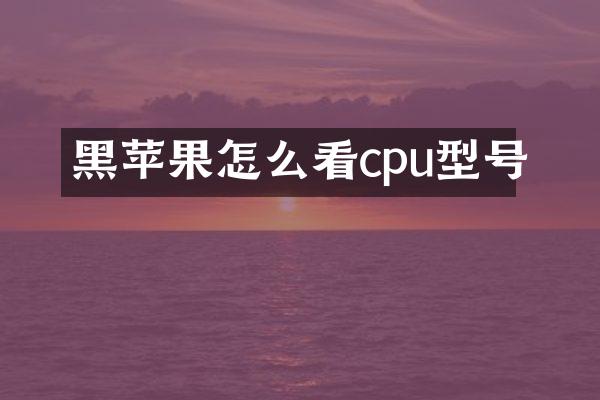 黑苹果怎么看cpu型号