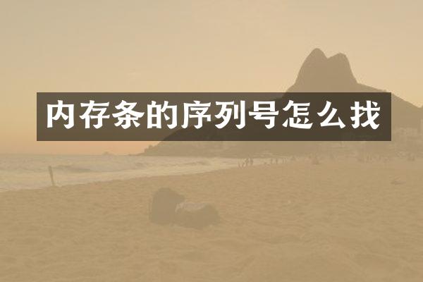 内存条的序列号怎么找