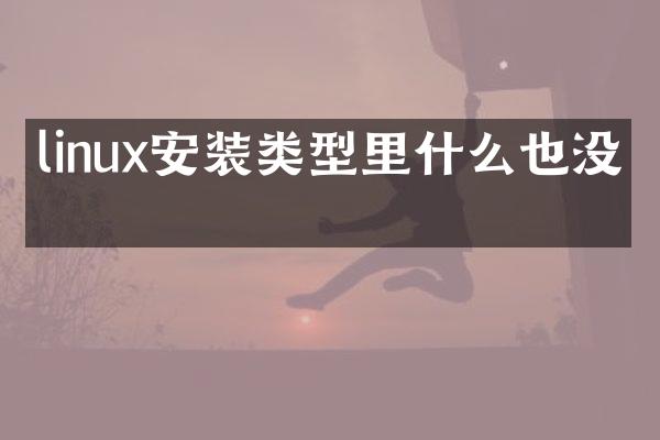 linux安装类型里什么也没有
