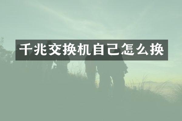 千兆交换机自己怎么换
