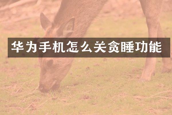 华为手机怎么关贪睡功能