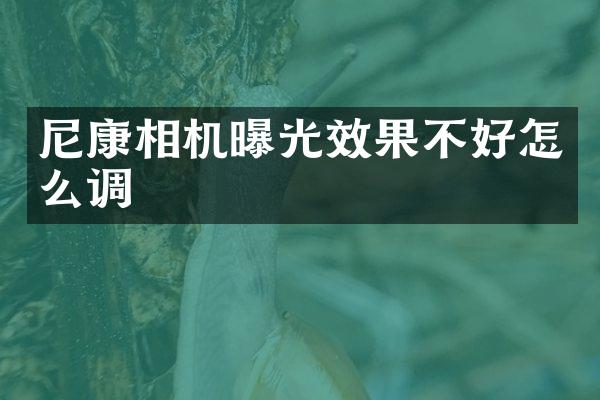 尼康相机曝光效果不好怎么调