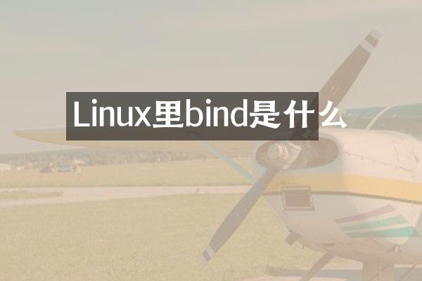 Linux里bind是什么