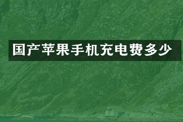 国产苹果手机充电费多少