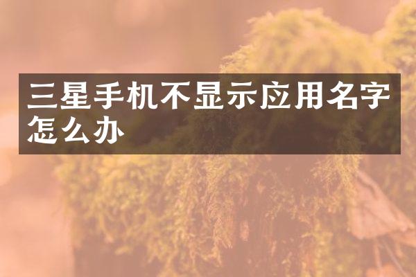 三星手机不显示应用名字怎么办