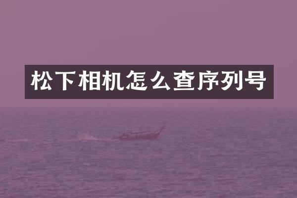 松下相机怎么查序列号