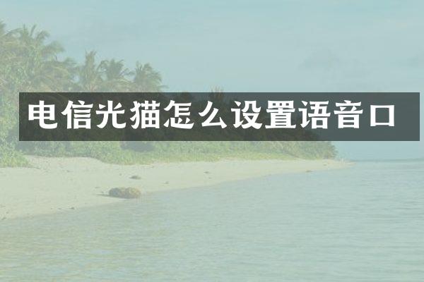 电信光猫怎么设置语音口