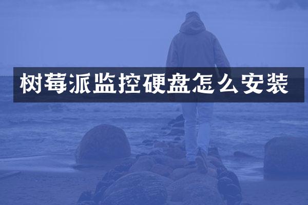树莓派监控硬盘怎么安装