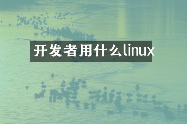 开发者用什么linux