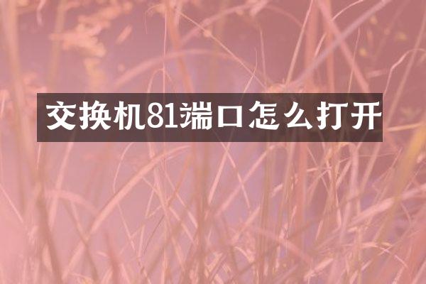 交换机81端口怎么打开