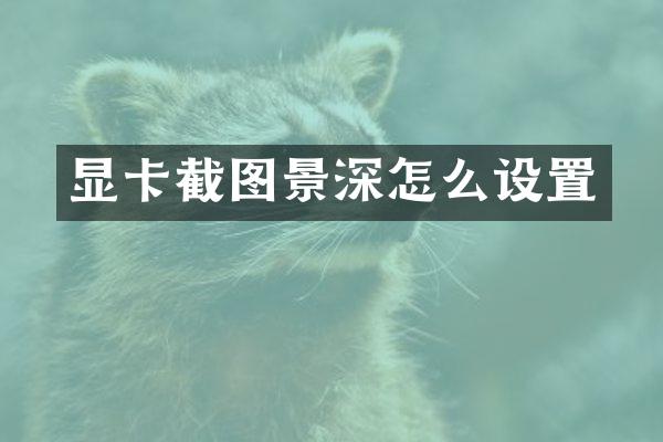 显卡截图景深怎么设置