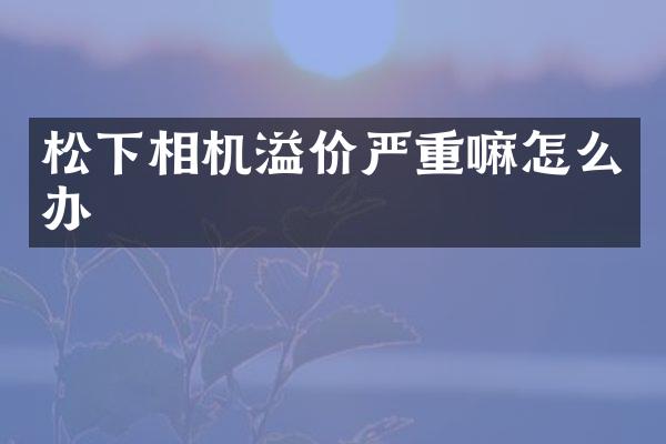 松下相机溢价严重嘛怎么办