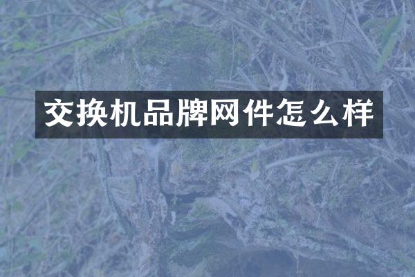 交换机品牌网件怎么样