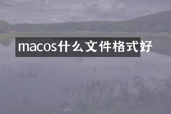 macos什么文件格式好