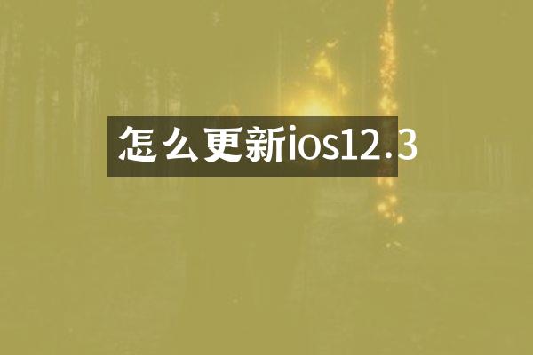 怎么更新ios12.3