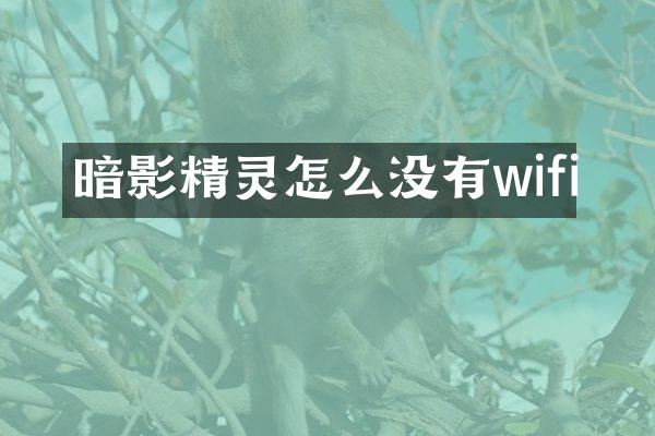 暗影精灵怎么没有wifi