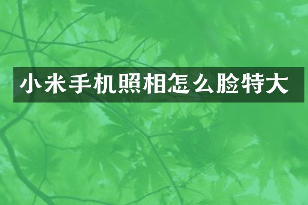 小米手机照相怎么脸特大