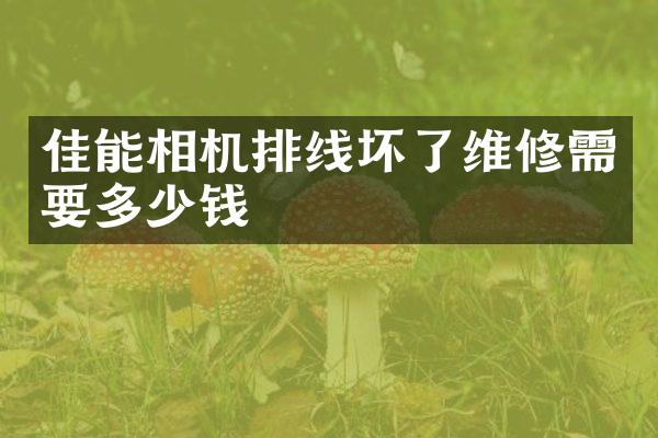 佳能相机排线坏了维修需要多少钱