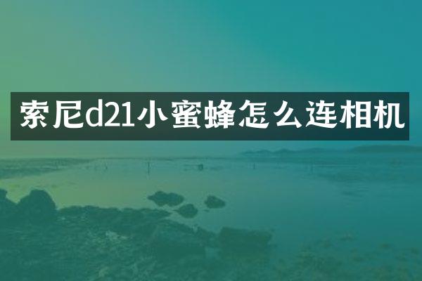 索尼d21小蜜蜂怎么连相机