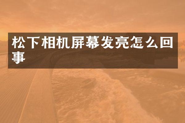 松下相机屏幕发亮怎么回事