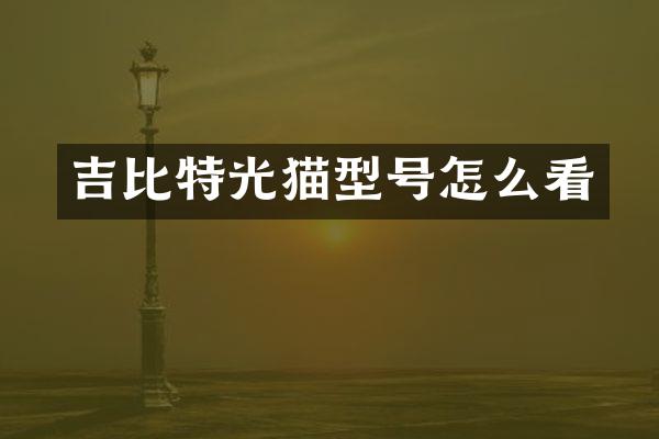 吉比特光猫型号怎么看