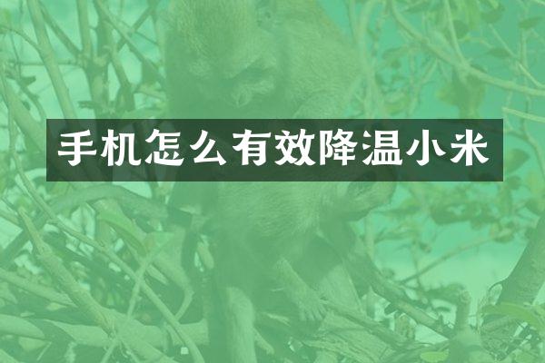 手机怎么有效降温小米