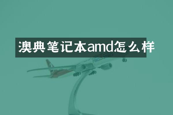 澳典笔记本amd怎么样