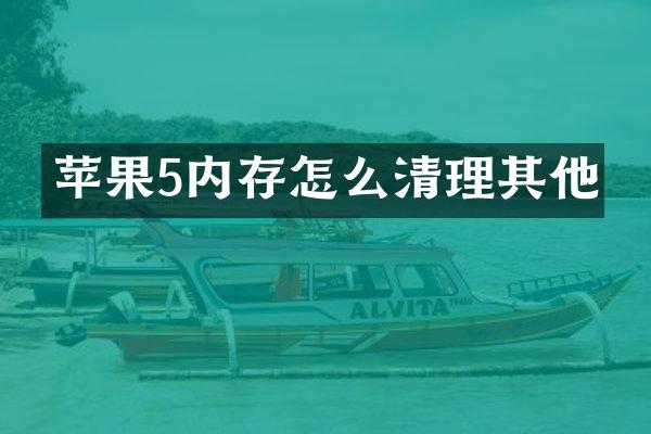 苹果5内存怎么清理其他