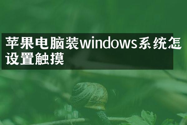 苹果电脑装windows系统怎么设置触摸