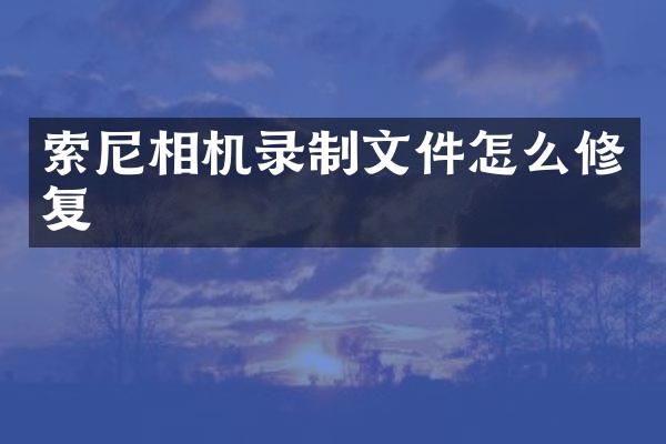 索尼相机录制文件怎么修复