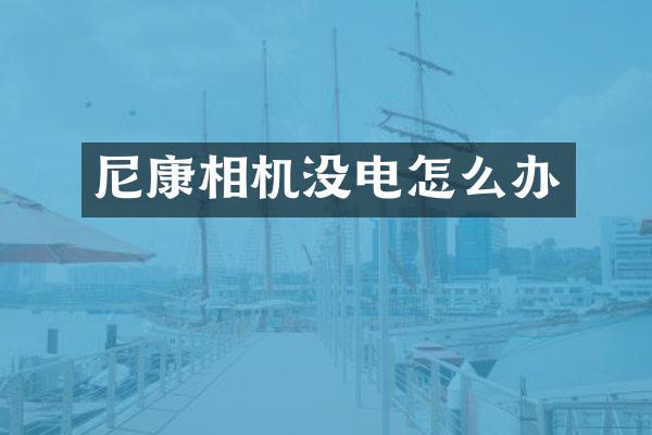 尼康相机没电怎么办