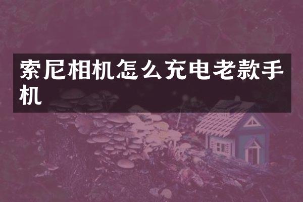 索尼相机怎么充电老款手机