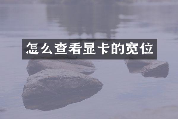 怎么查看显卡的宽位